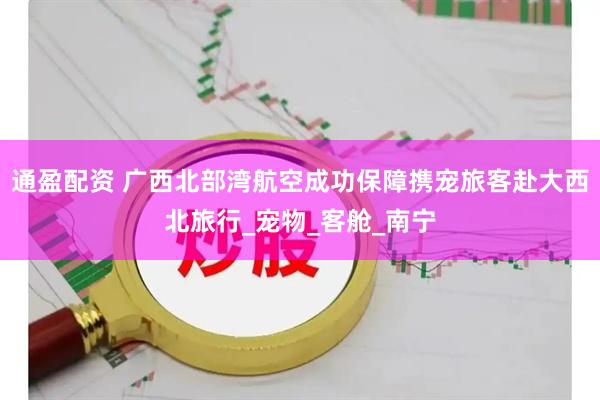 通盈配资 广西北部湾航空成功保障携宠旅客赴大西北旅行_宠物_客舱_南宁