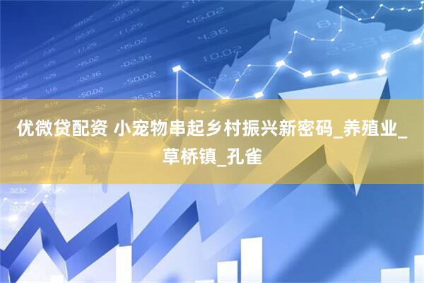 优微贷配资 小宠物串起乡村振兴新密码_养殖业_草桥镇_孔雀