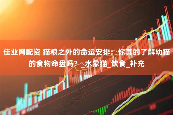 佳业网配资 猫粮之外的命运安排：你真的了解幼猫的食物命盘吗？_水象猫_饮食_补充