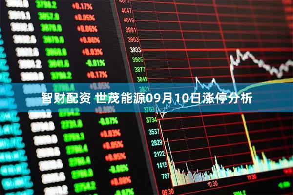 智财配资 世茂能源09月10日涨停分析